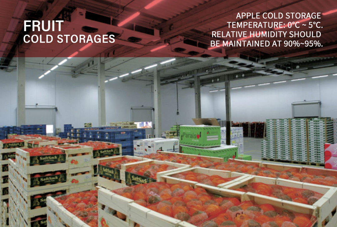 FRUIT COLD STORAGES