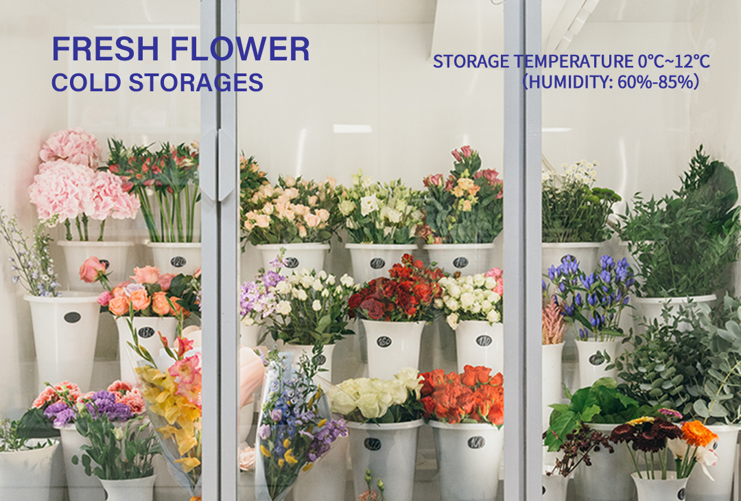 FRESH FLOWER COLD STORAGES