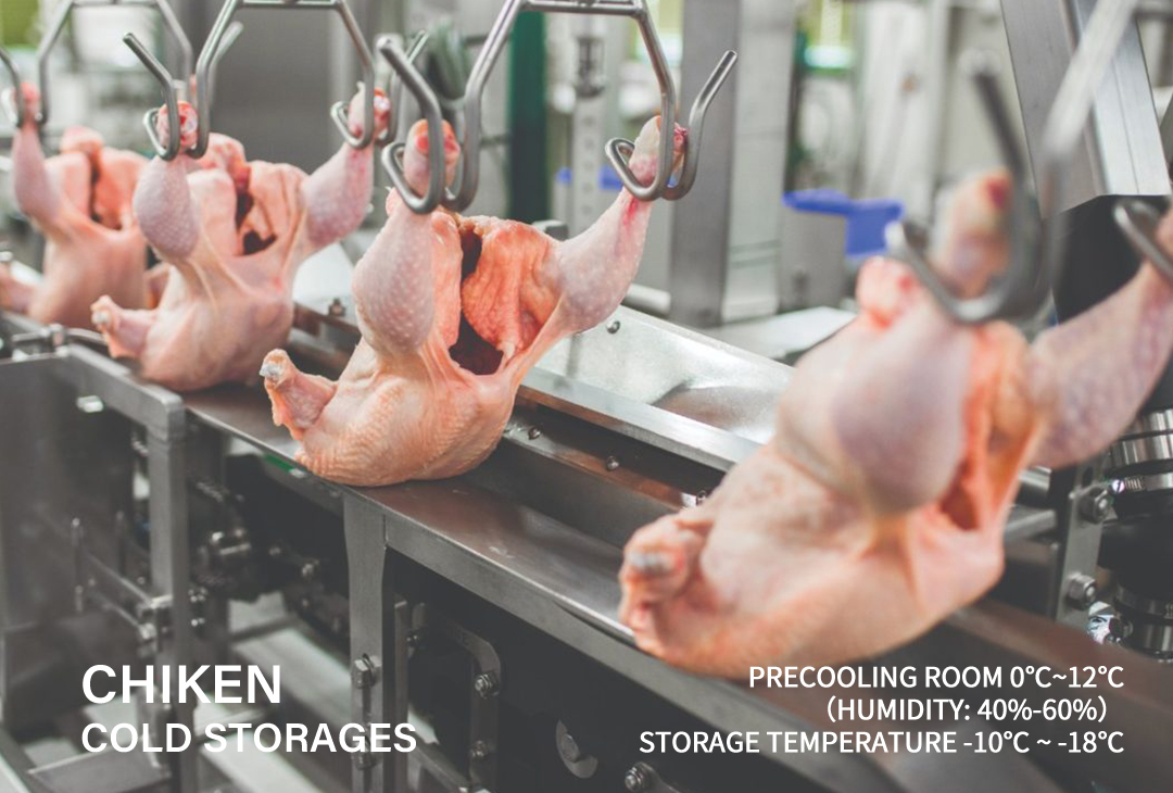 CHIKEN COLD STORAGES